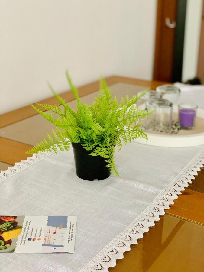 Hella Apartament Mamaia-Nord 那沃达利 外观 照片